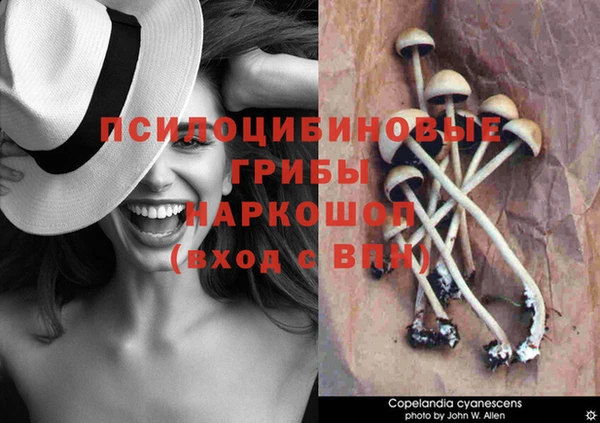 ALPHA-PVP Арсеньев