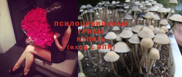 кокс Аркадак